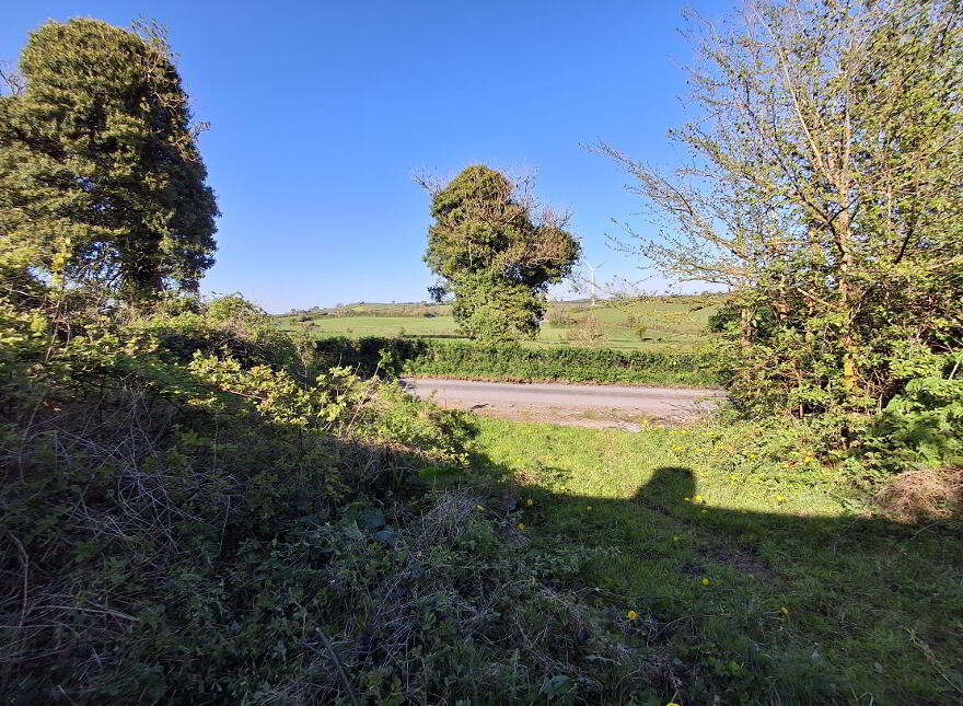 Drumreenagh, Scotshouse, Clones