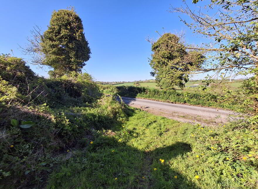 Drumreenagh, Scotshouse, Clones