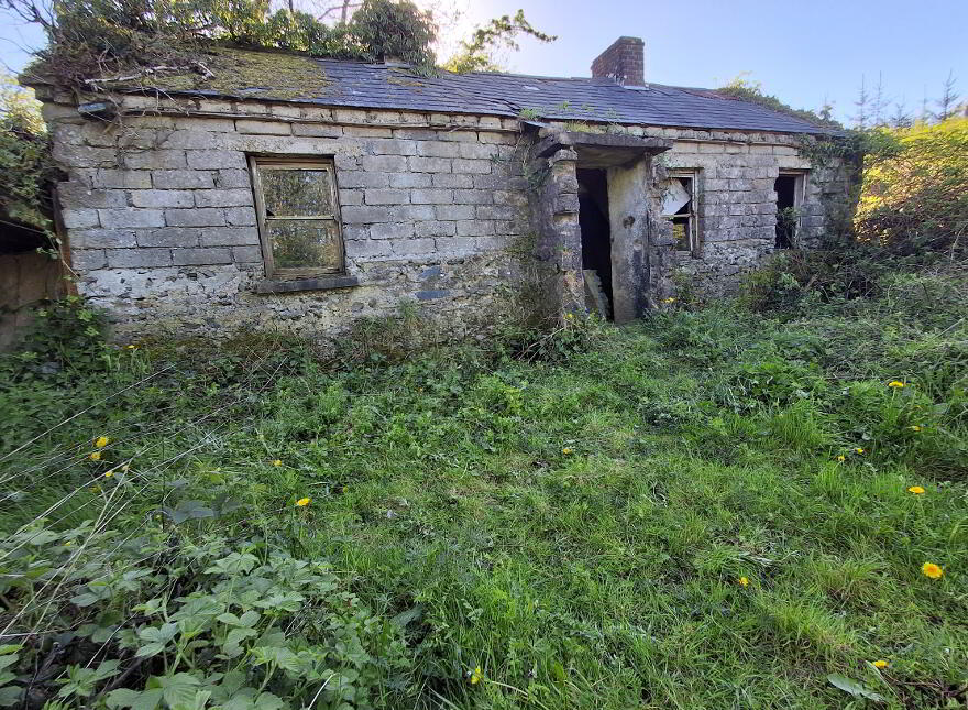 Drumreenagh, Scotshouse, Clones