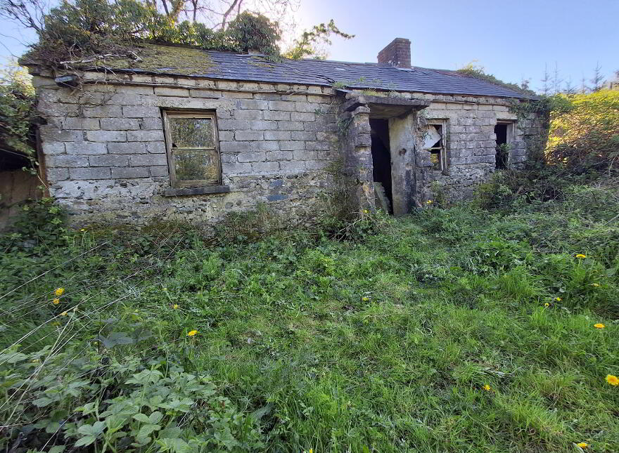 Drumreenagh, Scotshouse, Clones