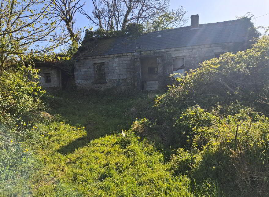 Drumreenagh, Scotshouse, Clones