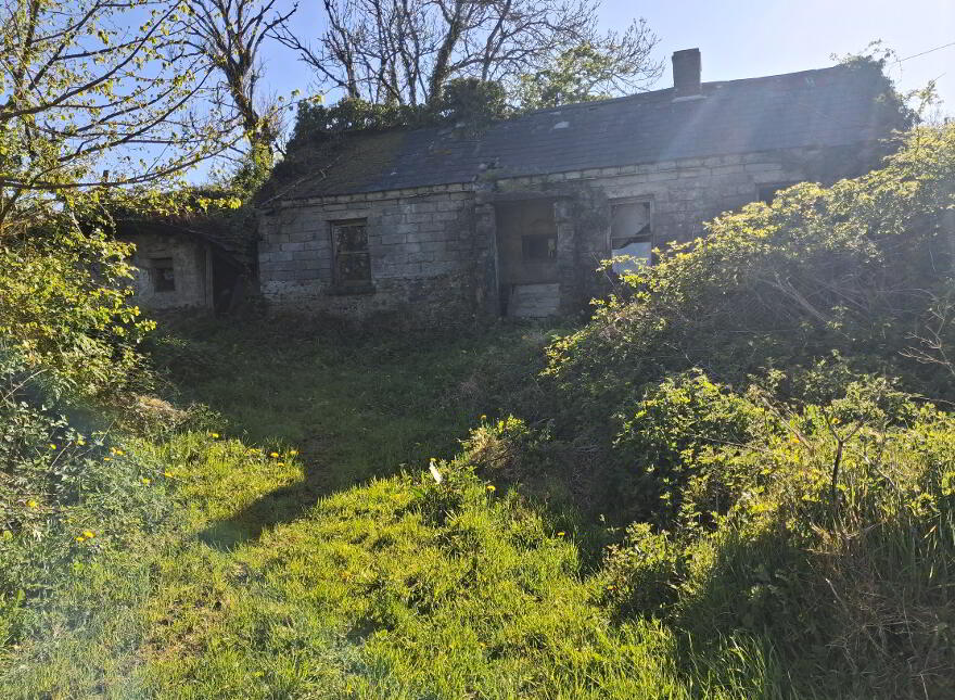 Drumreenagh, Scotshouse, Clones