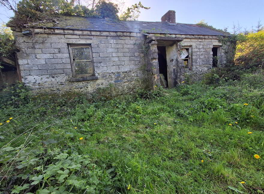 Drumreenagh, Scotshouse, Clones