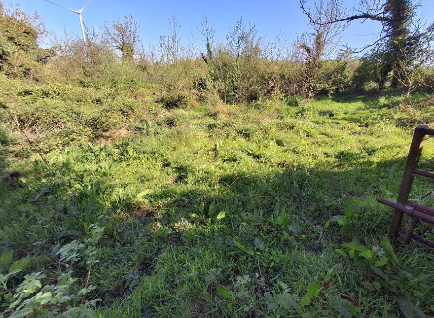 Drumreenagh, Scotshouse, Clones