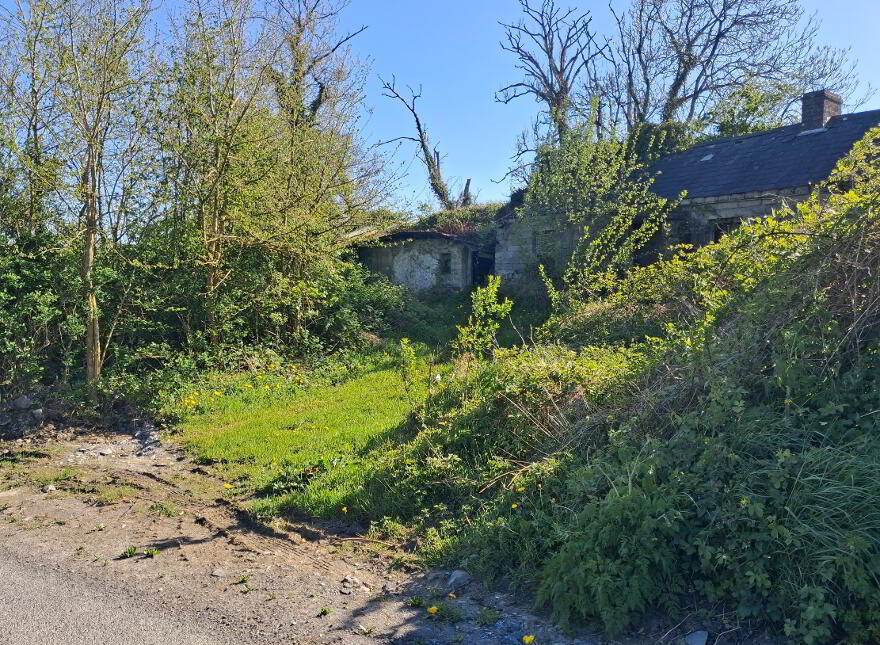 Drumreenagh, Scotshouse, Clones