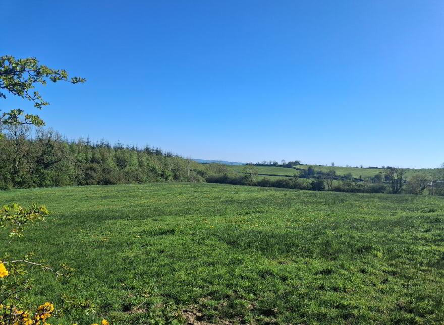 Drumreenagh, Scotshouse, Clones