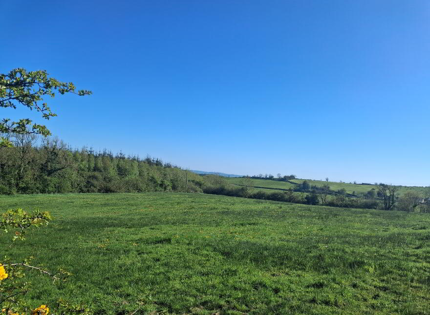 Drumreenagh, Scotshouse, Clones