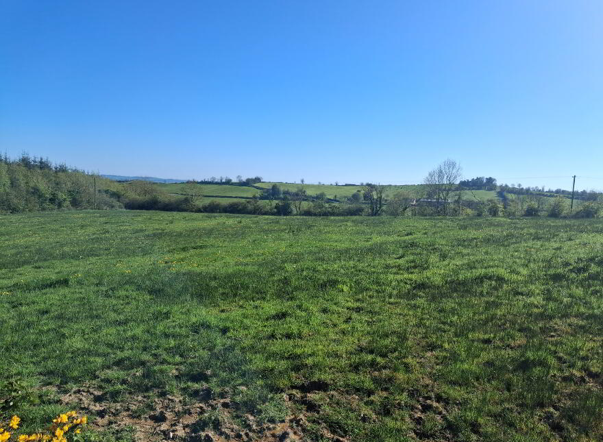 Drumreenagh, Scotshouse, Clones