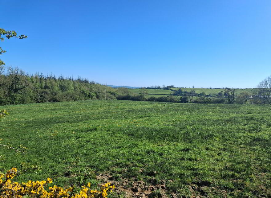 Drumreenagh, Scotshouse, Clones