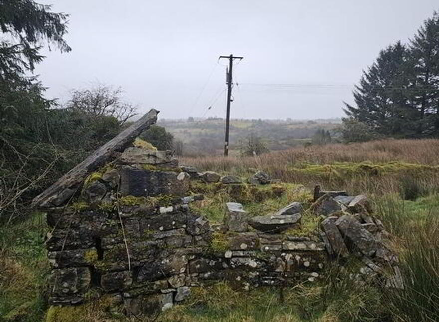 Altiquin, Drumkeerin