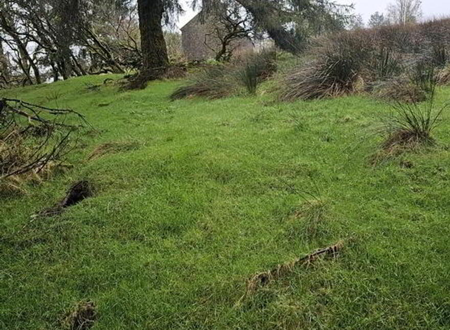 Altiquin, Drumkeerin