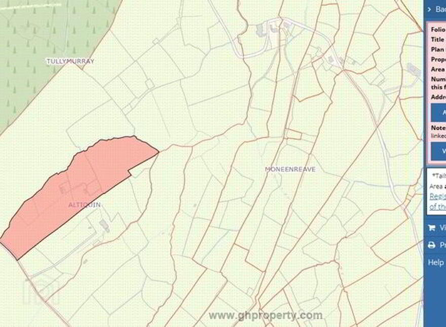 Altiquin, Drumkeerin