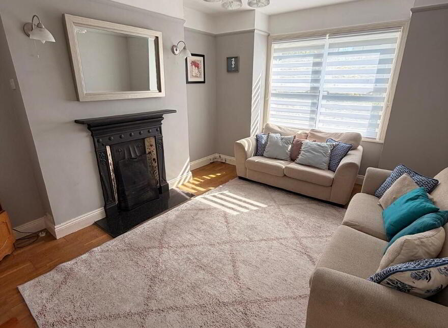 Frieden, Summerville Avenue, South Circular Road, Lim