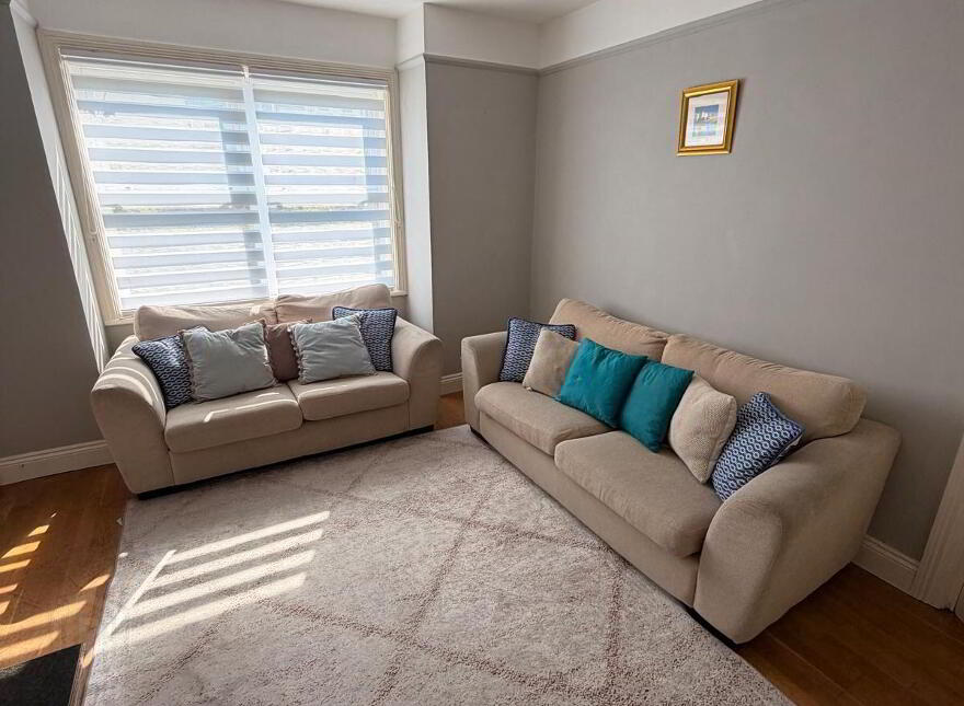 Frieden, Summerville Avenue, South Circular Road, Lim