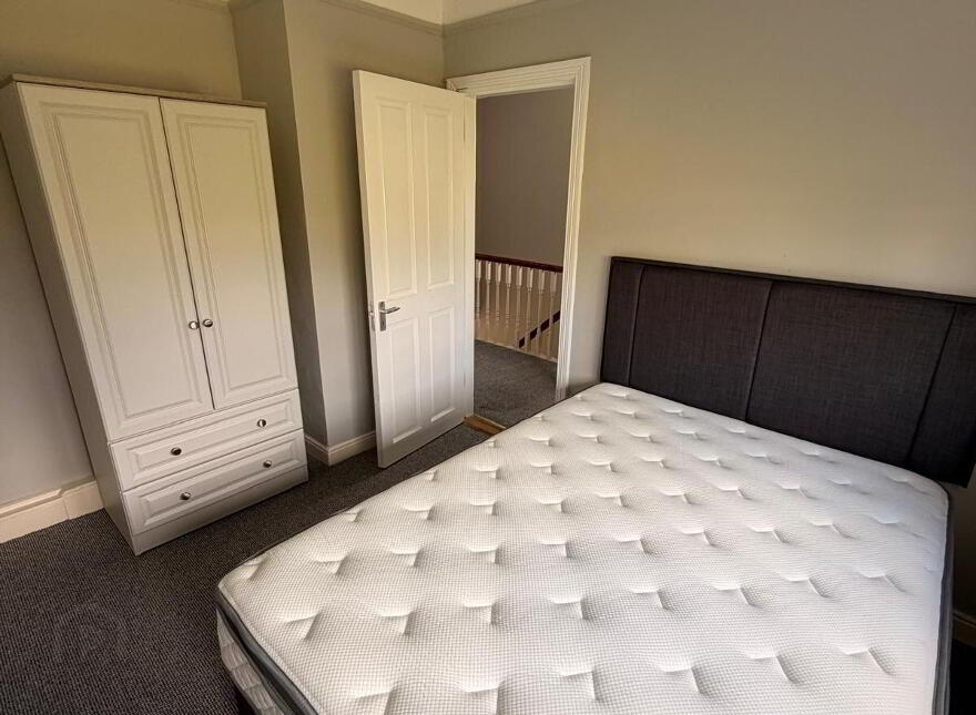 Frieden, Summerville Avenue, South Circular Road, Lim