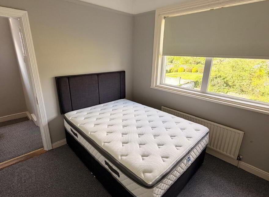 Frieden, Summerville Avenue, South Circular Road, Lim