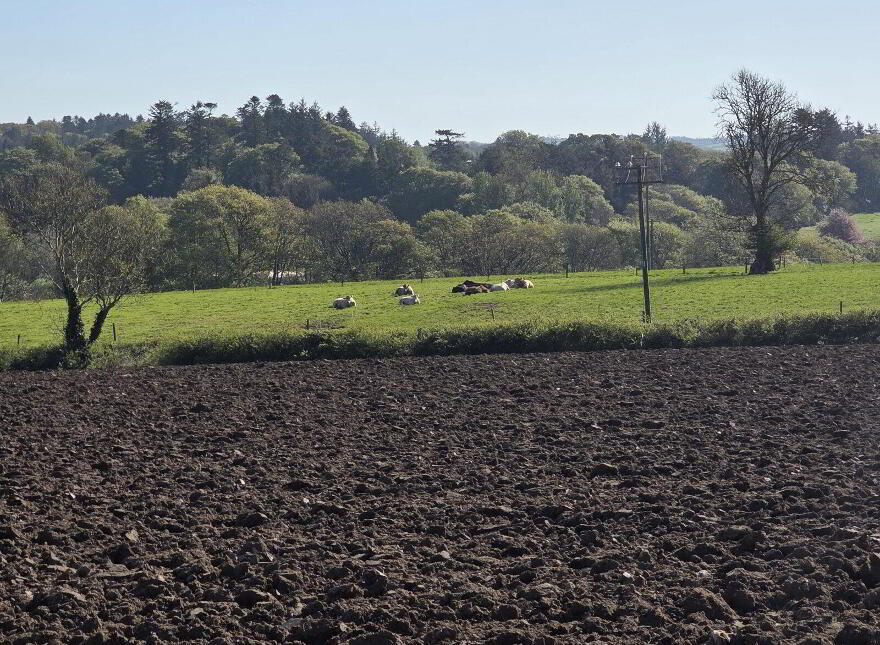 Forth View, Polldoon, Foulksmills, Y35P3K7
