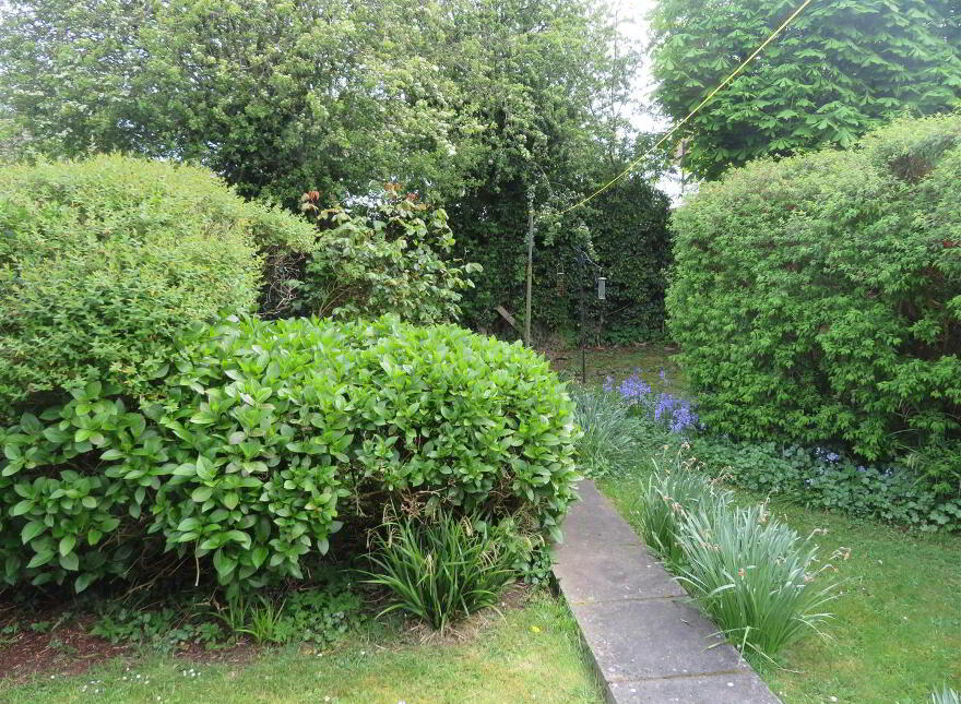 50 Glenview Drive, Lurgan, Craigavon, BT66 7ET