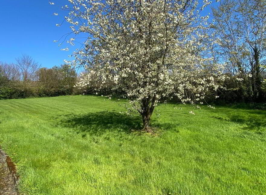The Haw, Lifford, F93FYY9