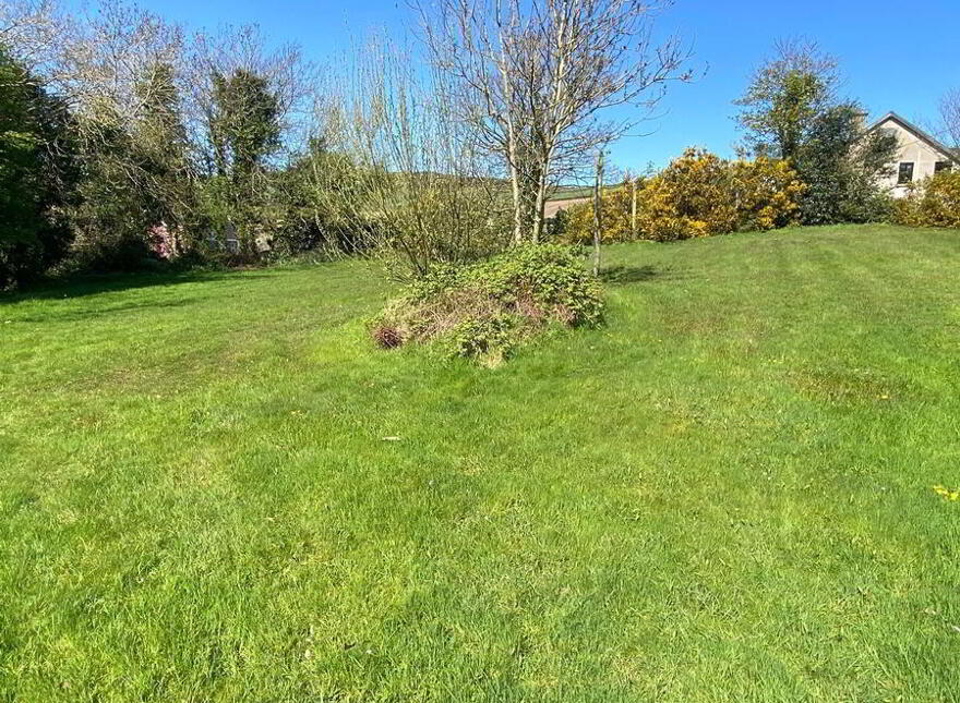 The Haw, Lifford, F93FYY9