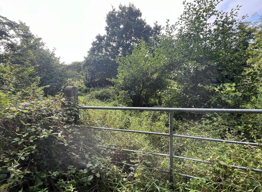 North, Corbally, Glanmire