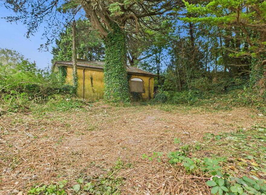 Old Lodge, Clashmore, Kinsalebeg, P36PR20