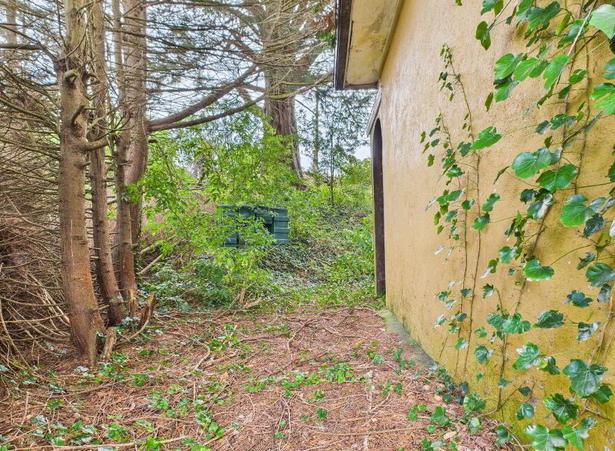 Old Lodge, Clashmore, Kinsalebeg, P36PR20