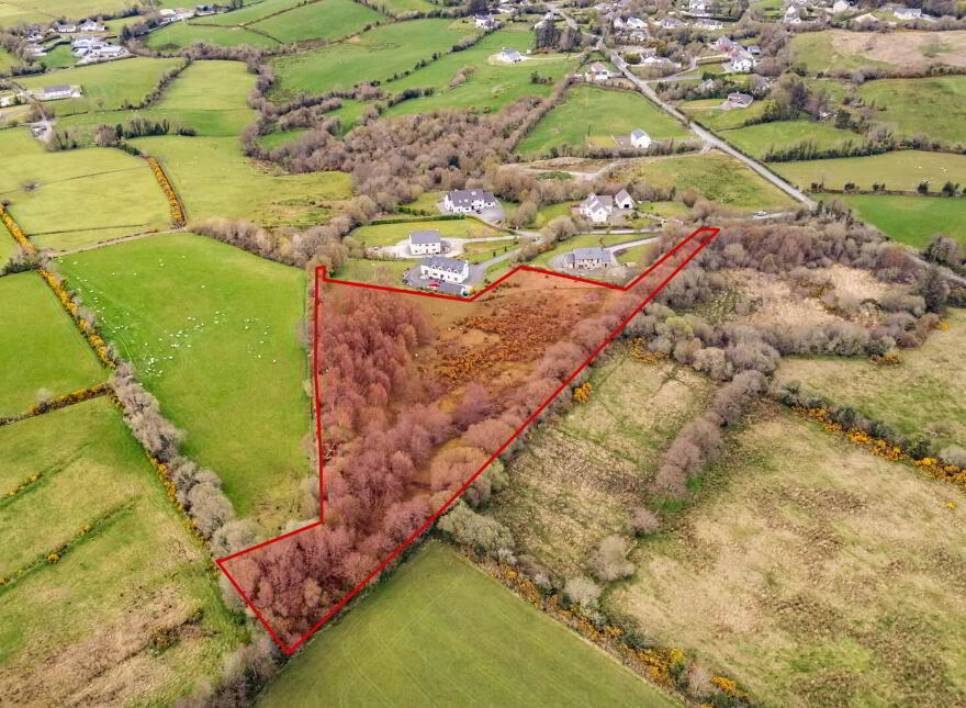 Bomany, Letterkenny