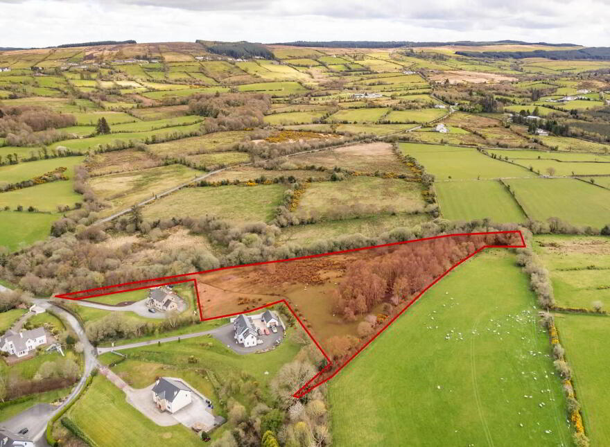 Bomany, Letterkenny