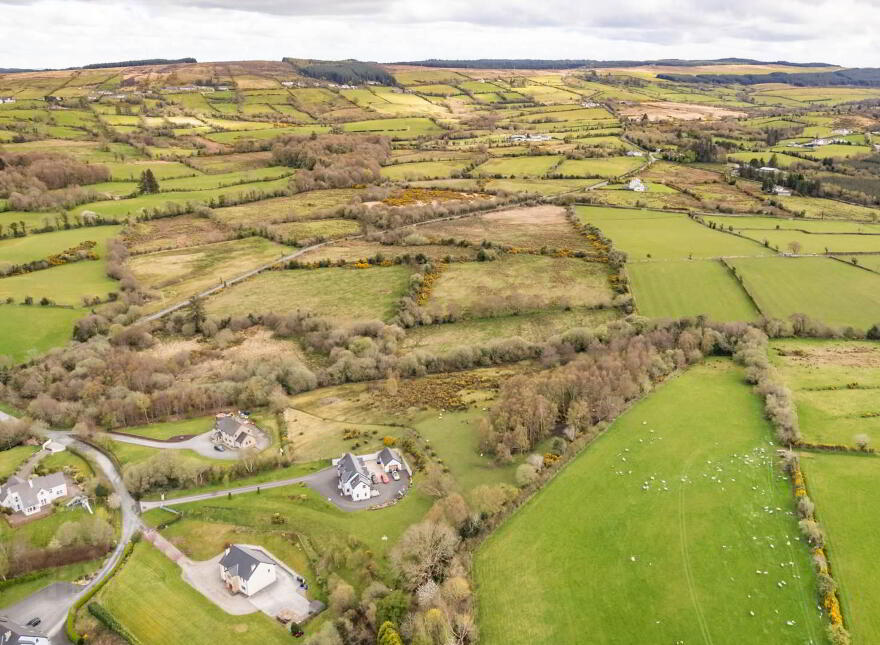 Bomany, Letterkenny