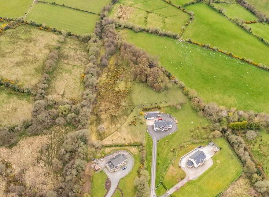 Bomany, Letterkenny
