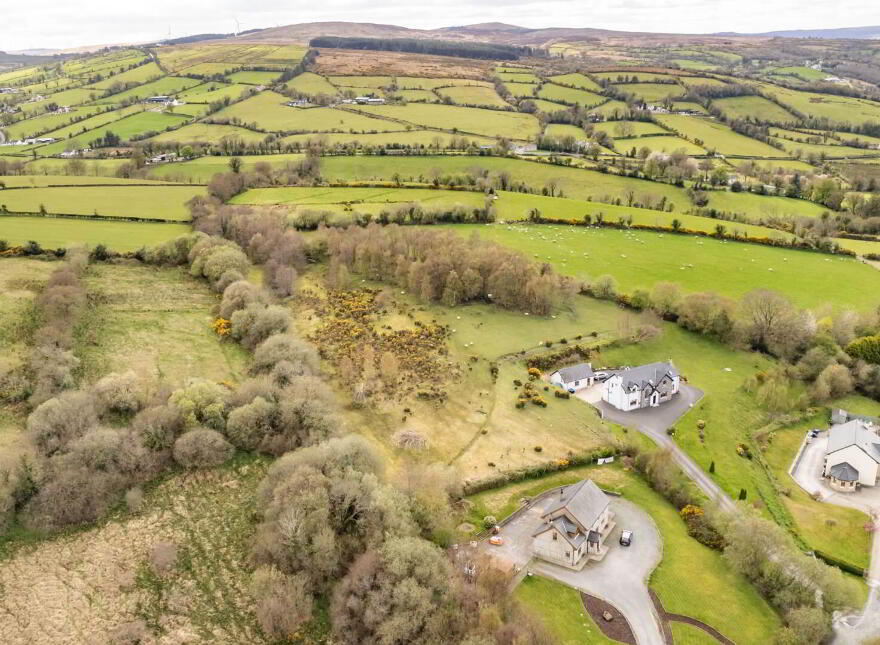 Bomany, Letterkenny