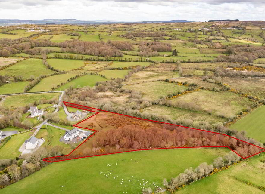 Bomany, Letterkenny
