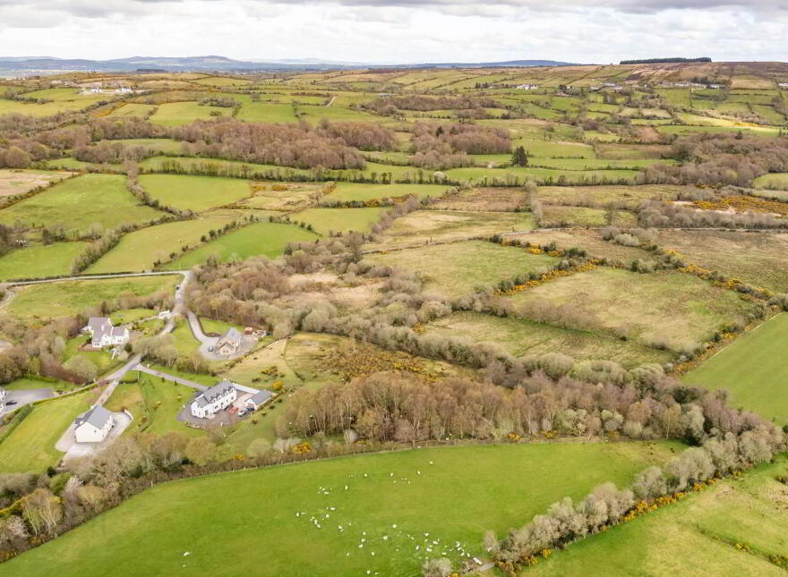 Bomany, Letterkenny