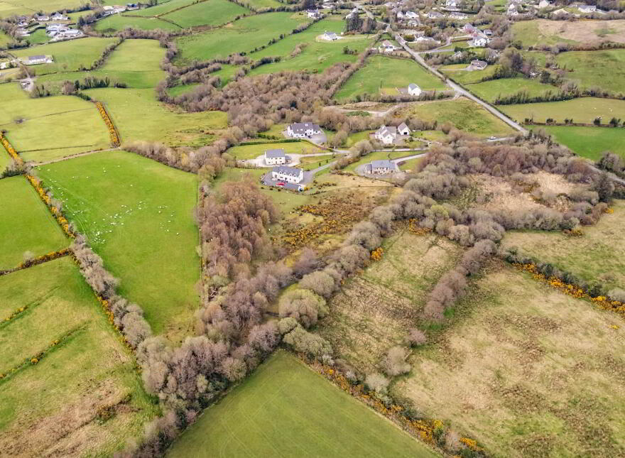 Bomany, Letterkenny