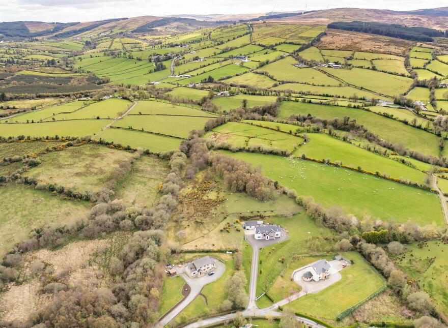Bomany, Letterkenny