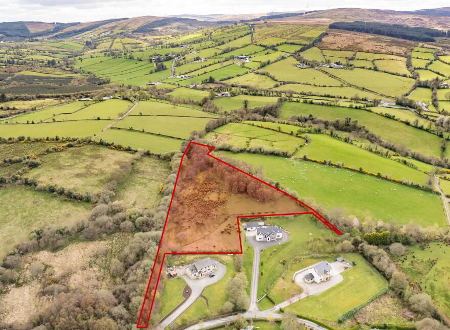 Bomany, Letterkenny