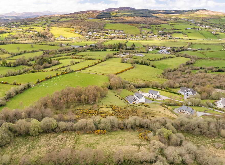 Bomany, Letterkenny