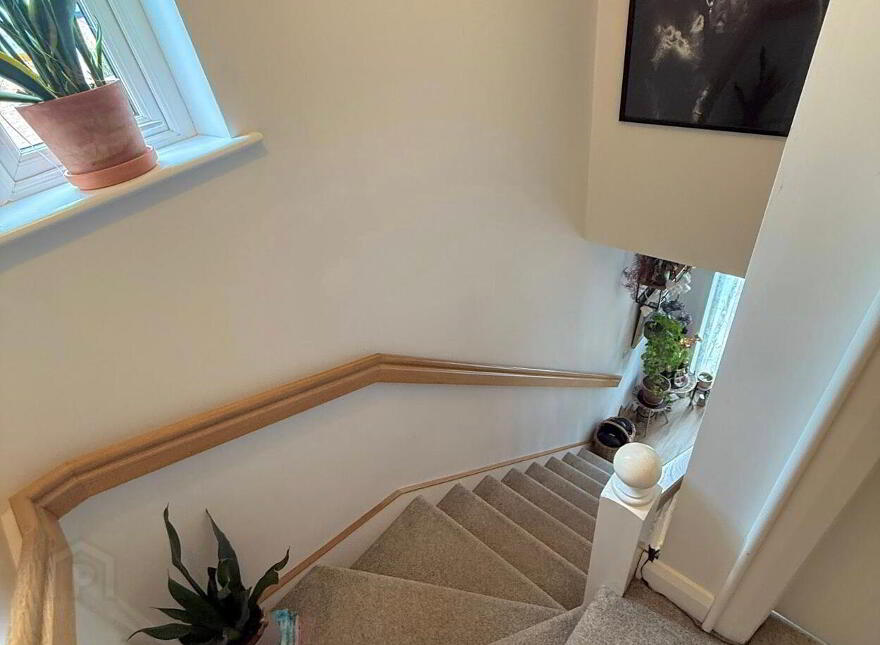 68 Paddock Lane, Ballymena Road, Ballymoney, BT53 7FH