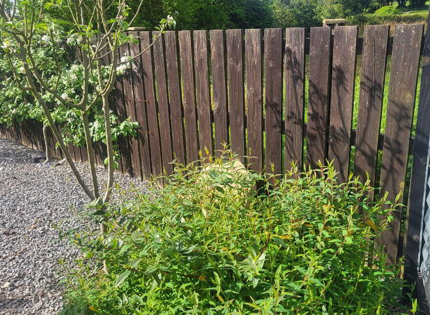 Celtic Way, Gorvagh, Keshcarrigan, N41P899