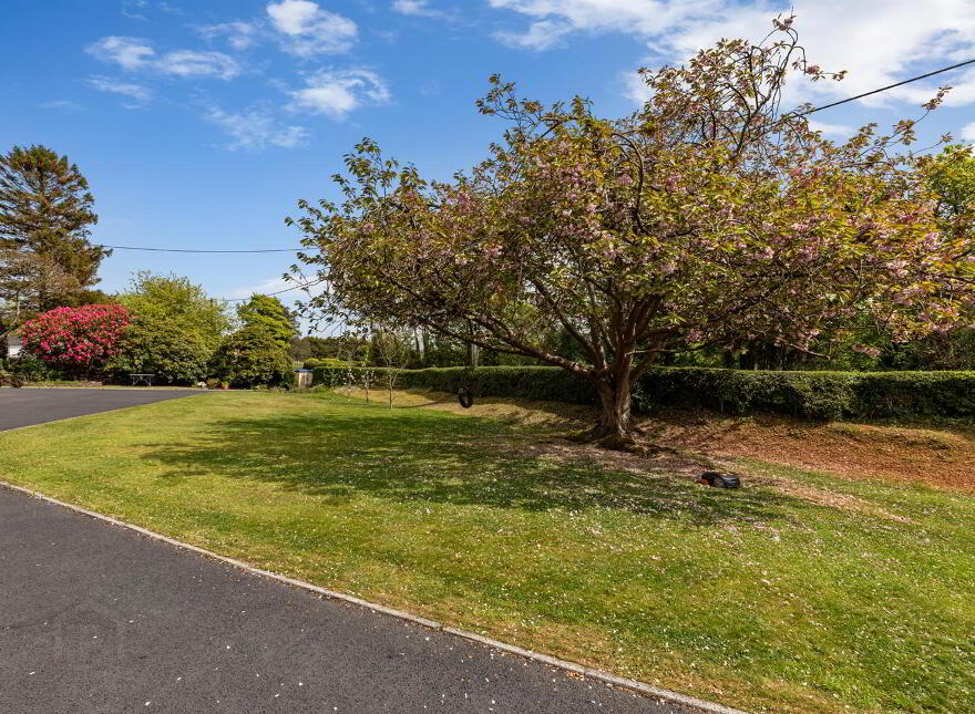 70 Strangford Road, Downpatrick, BT30 6SN