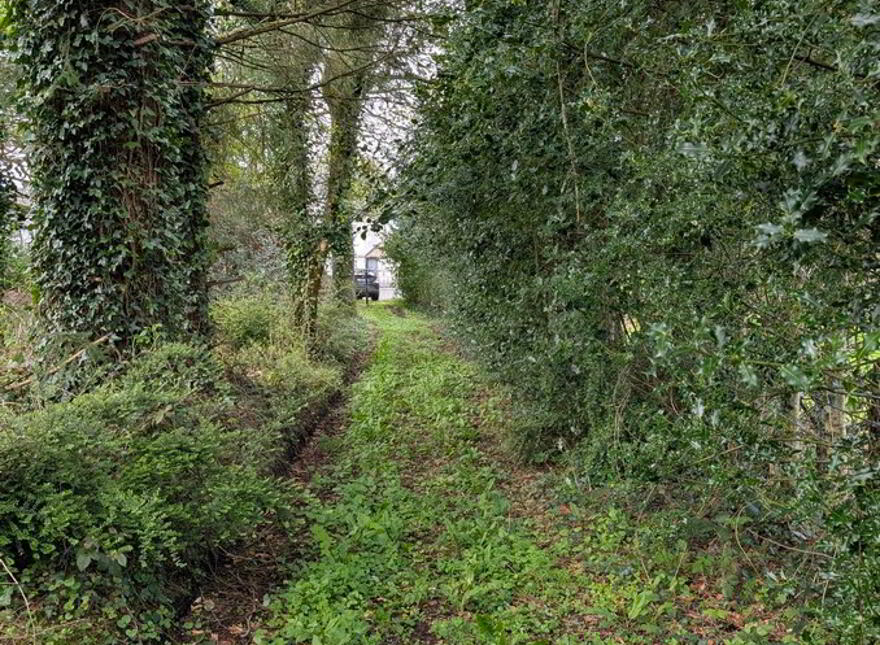 Furnaceland, Swanlinbar