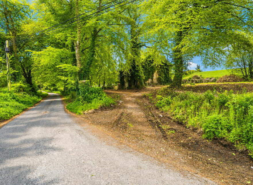 Site At, Shanco, Emyvale