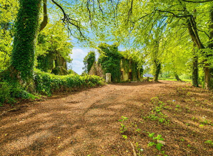 Site At, Shanco, Emyvale