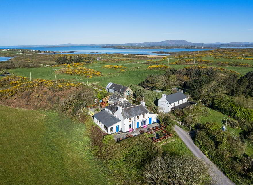 Jolly Roger, Farranacoush, Sherkin Island, P81Y635
