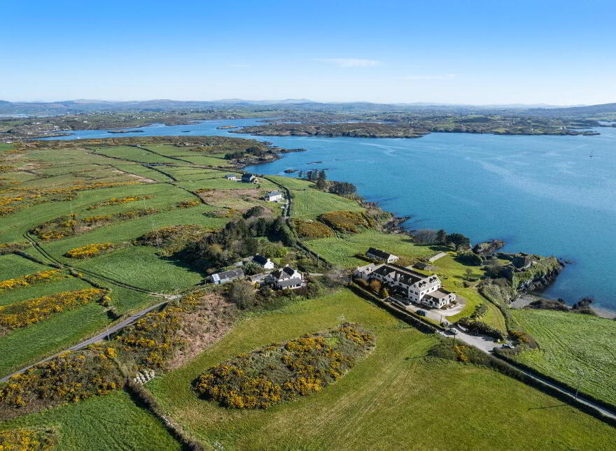 Jolly Roger, Farranacoush, Sherkin Island, P81Y635