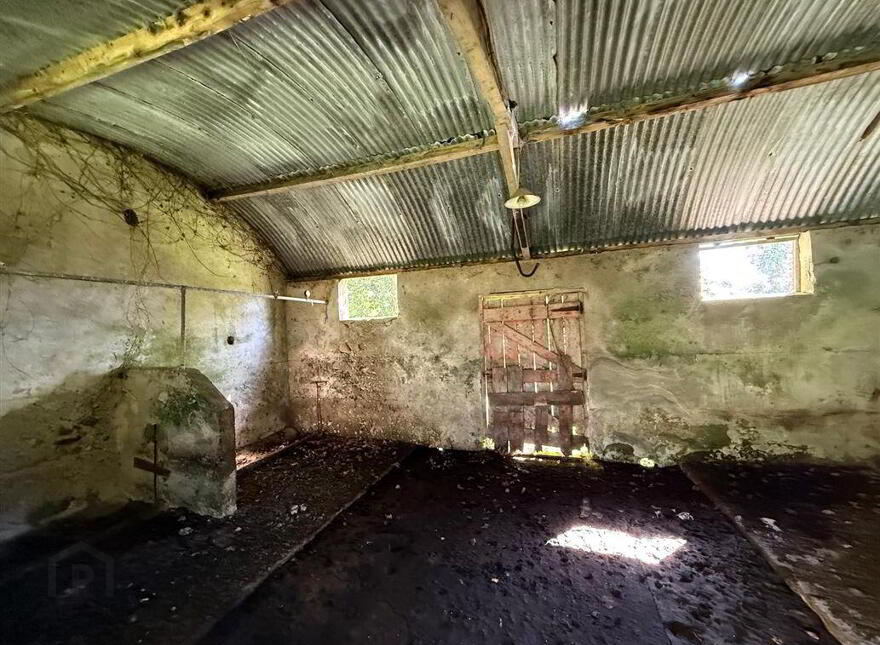 Tawnymucklagh, Monasteraden, F45Y652