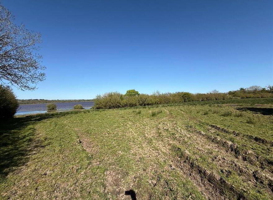 Tawnymucklagh, Monasteraden, F45Y652