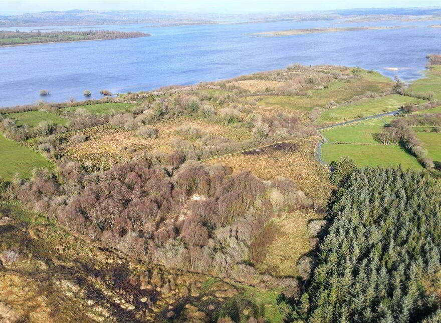 Tawnymucklagh, Monasteraden, F45Y652