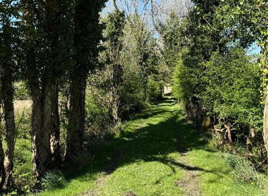 Tawnymucklagh, Monasteraden, F45Y652